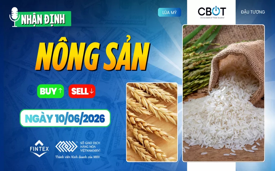 NHẬN ĐỊNH THỊ TRƯỜNG NÔNG SẢN NGÀY 10/06/2026